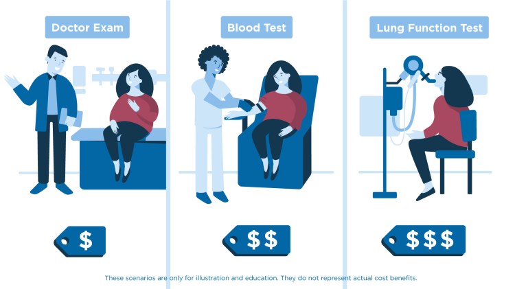 Leeanne Brenna Freelance Illustrator / Motion Designer / Animator based in Chapel Hill, NC